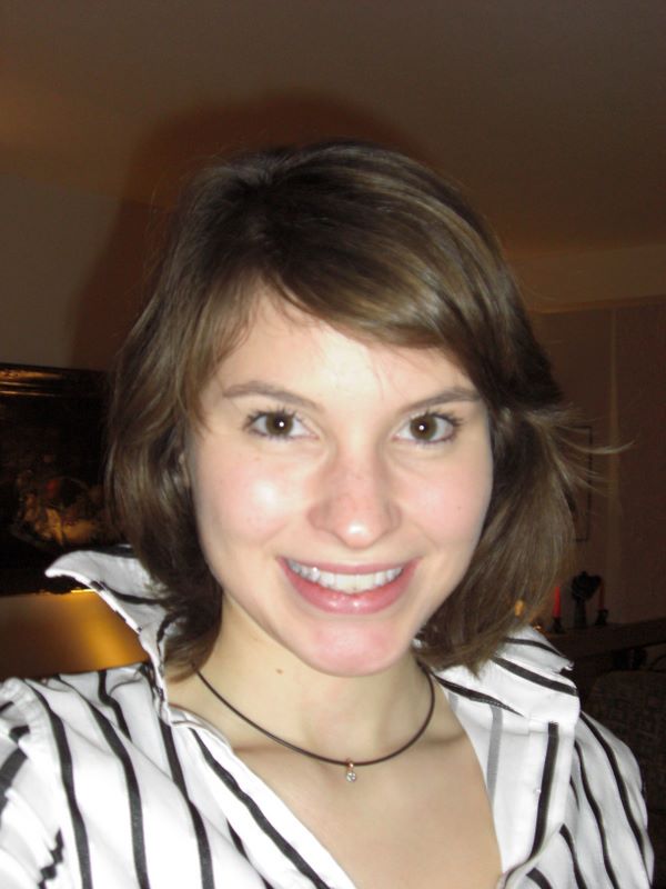 Kitchenaid 13 cup food processor target